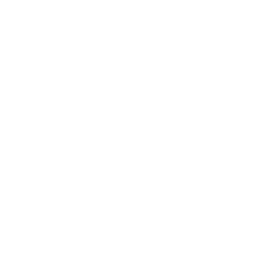 Parkway Logo 250x250 white